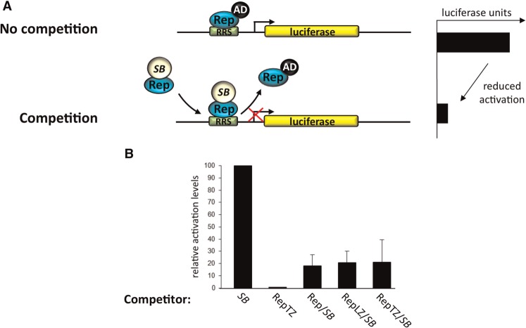 Figure 4.