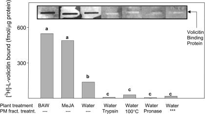 Figure 10.