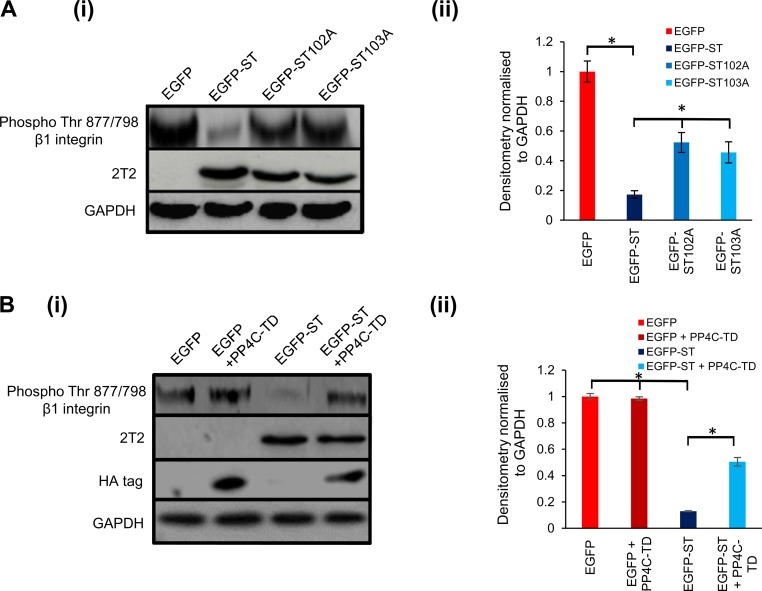 FIG 8