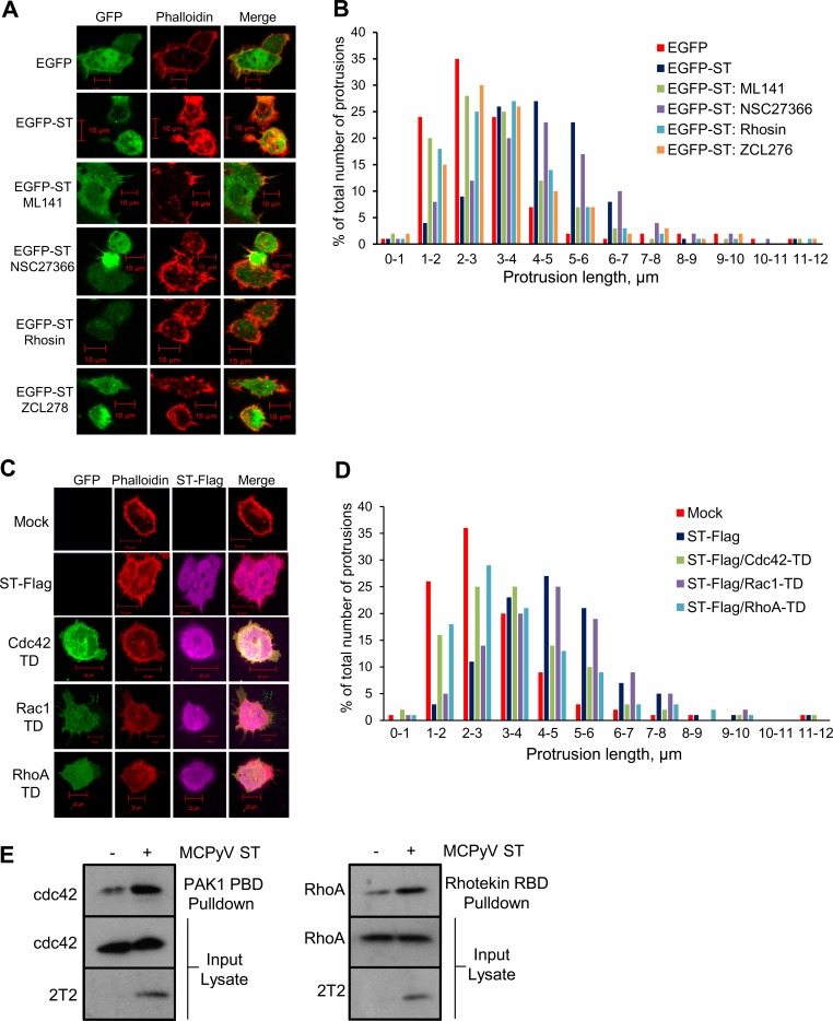 FIG 6