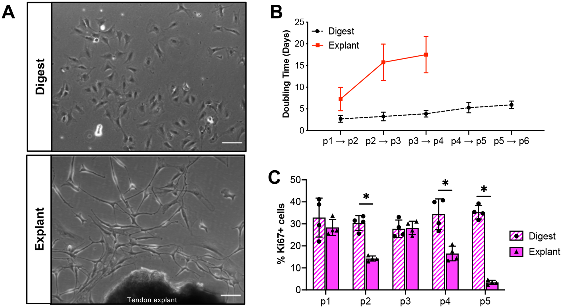 Figure 1: