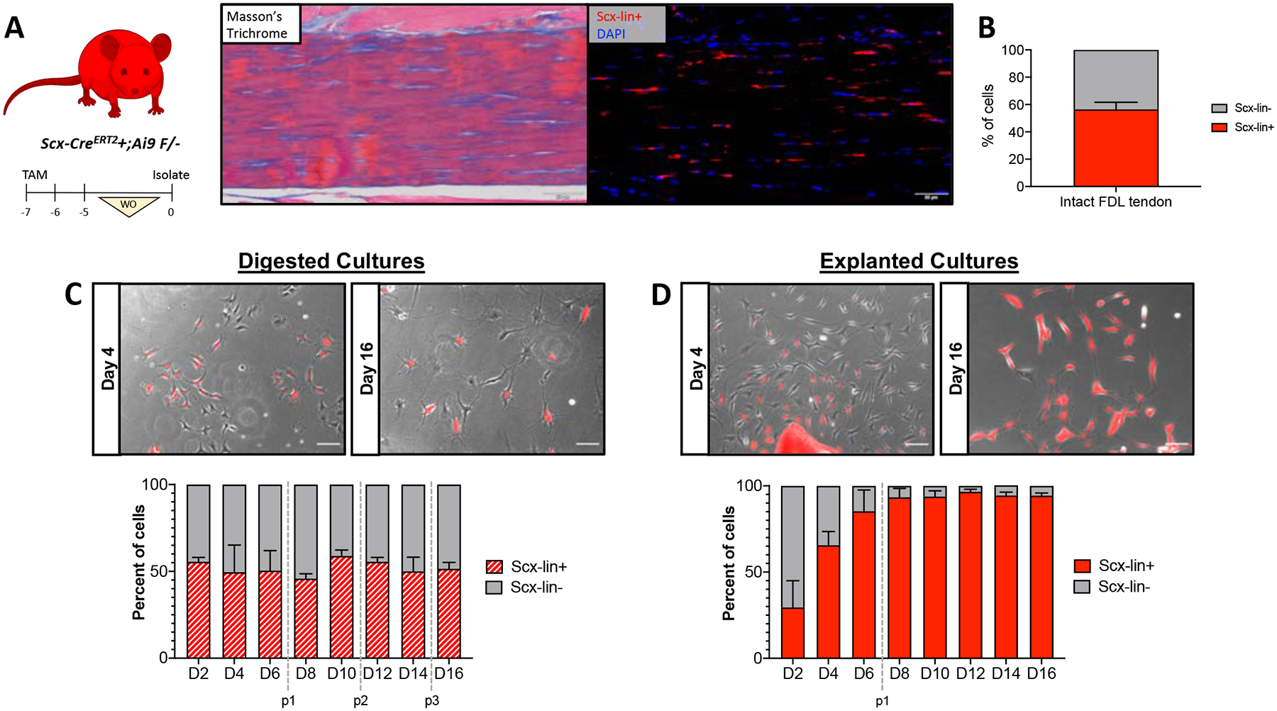 Figure 4: