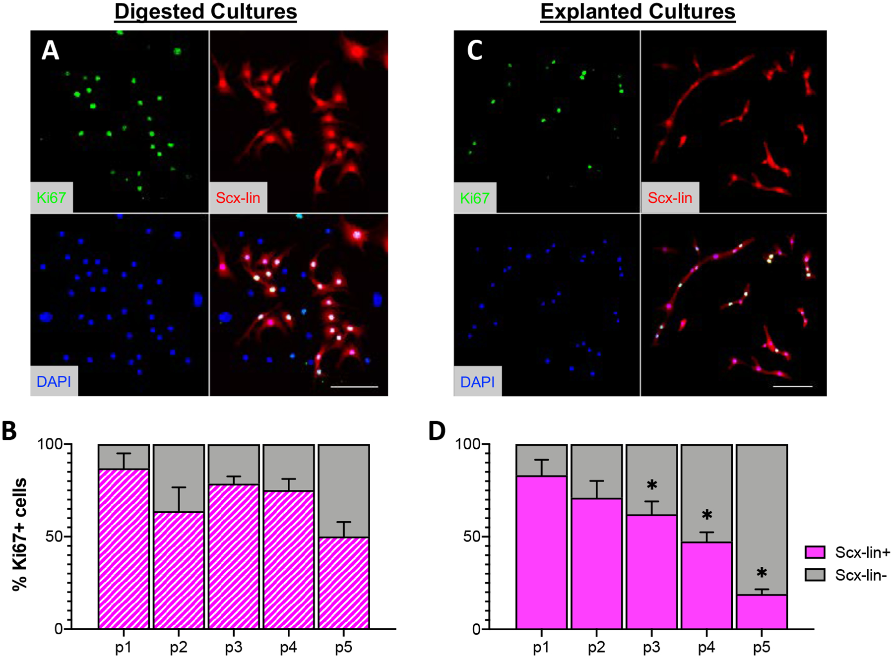 Figure 6: