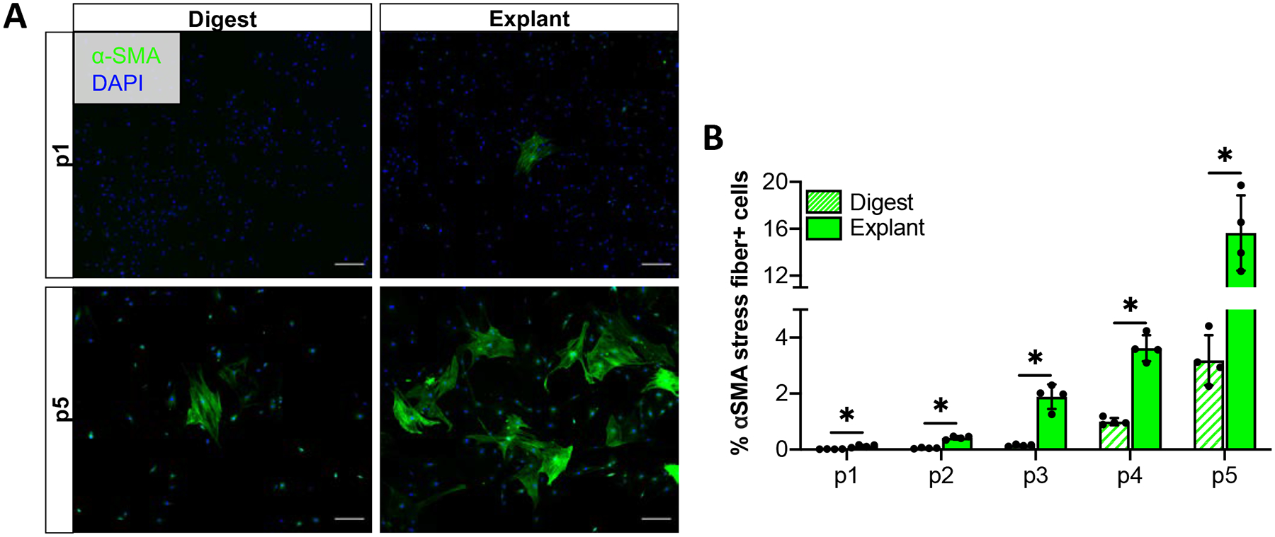 Figure 3: