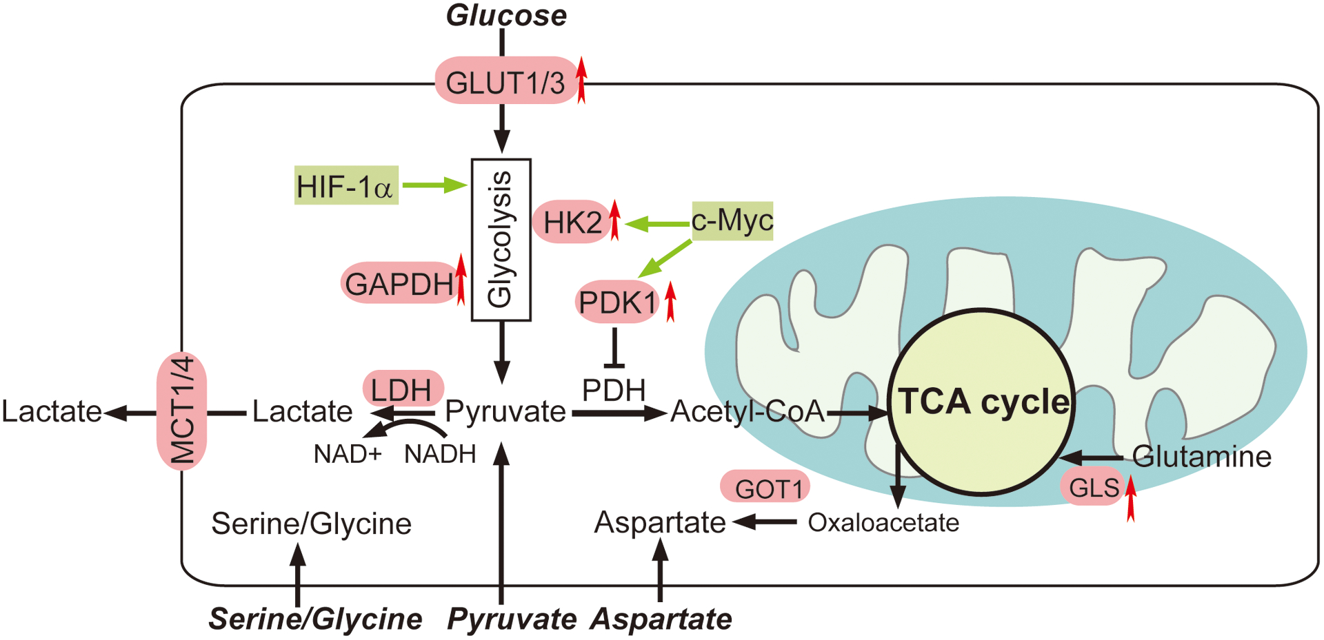 Figure 3.