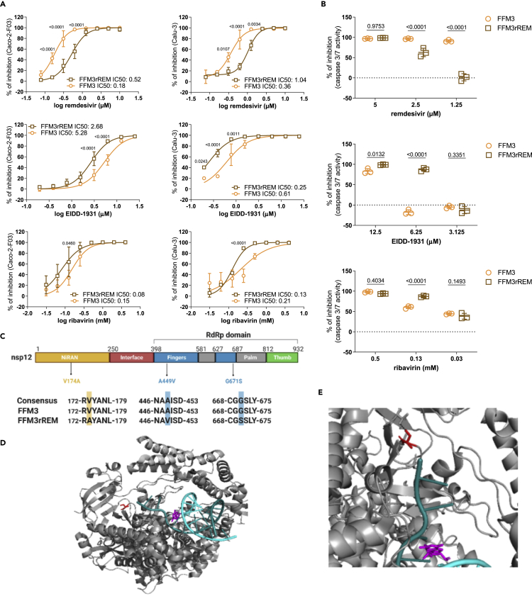 Figure 4