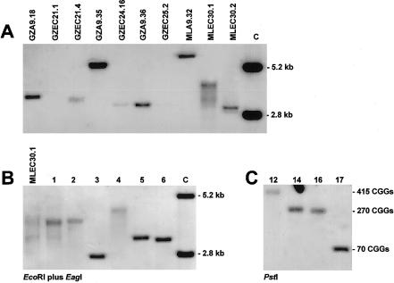 Figure  3