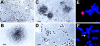 Figure  2