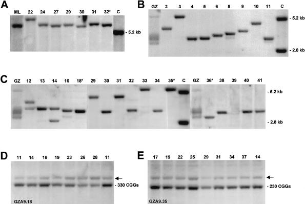 Figure  1