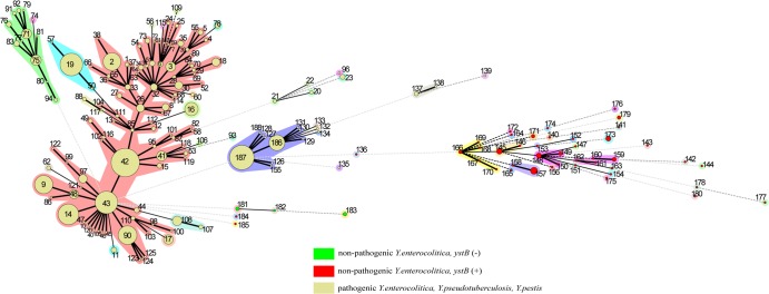 FIG 3