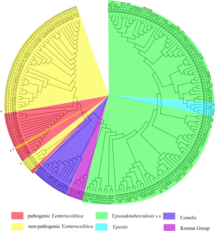 FIG 1