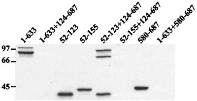 FIG. 10