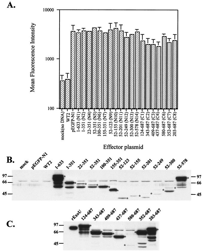 FIG. 9