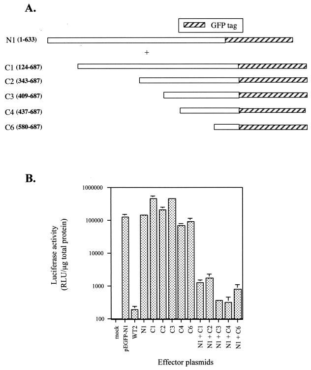 FIG. 6