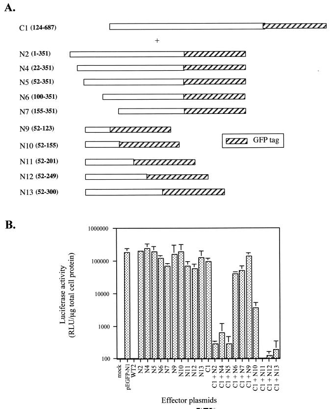 FIG. 5