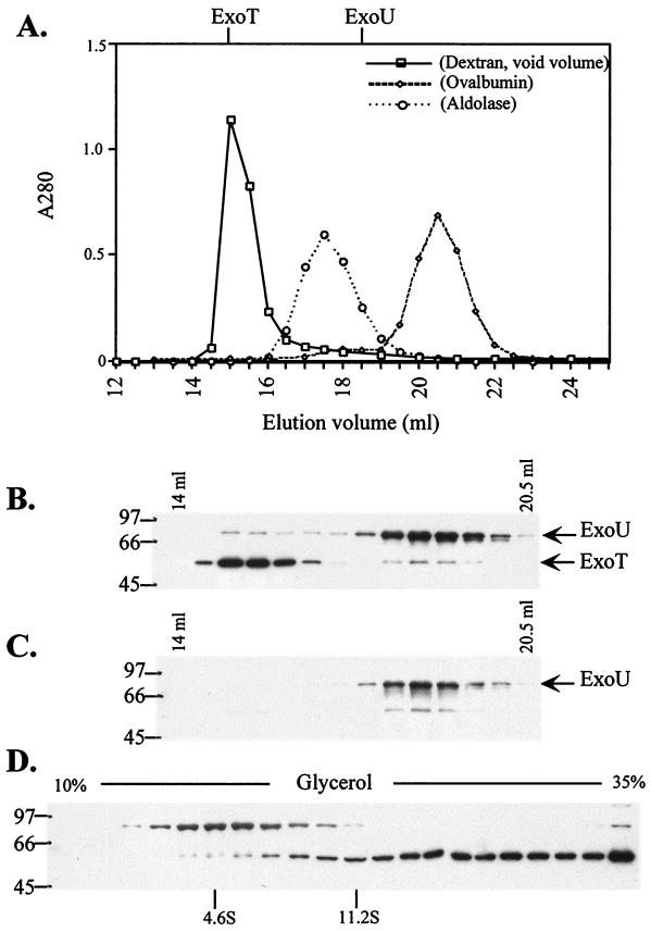 FIG. 8