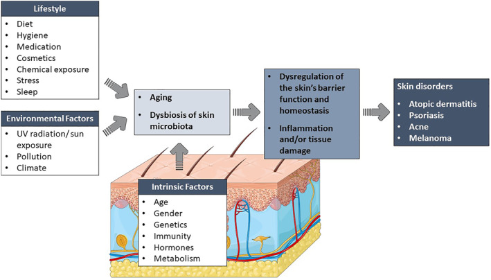 FIGURE 1