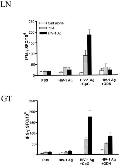 FIG. 3.