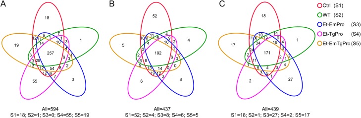 FIG 5