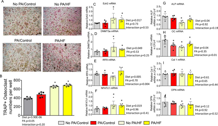 Fig 6