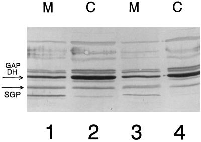 FIG. 3