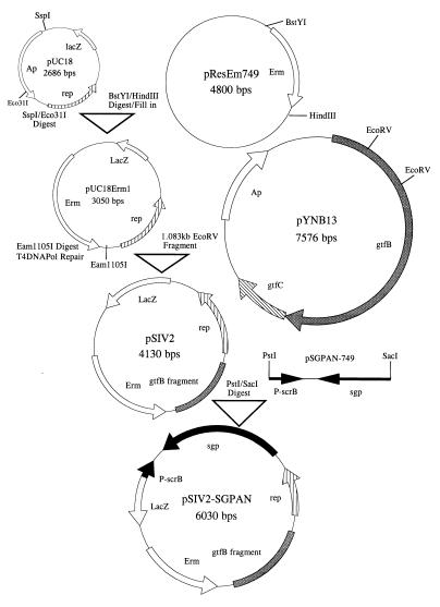 FIG. 1