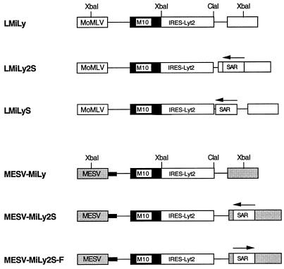 FIG. 1