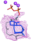 Fig. 20