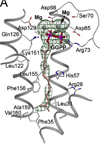 Fig. 6