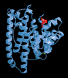 Fig. 12