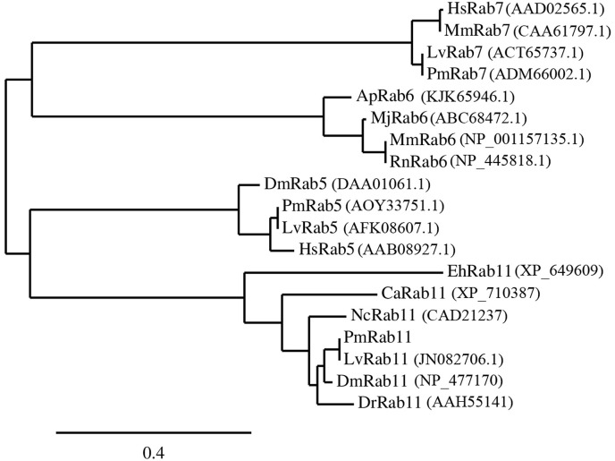 Fig. 3