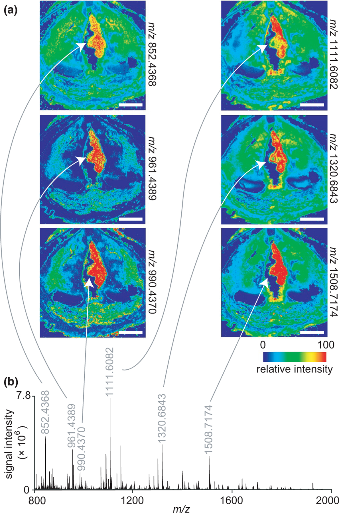 FIGURE 4