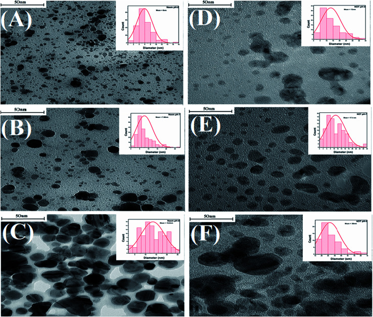 Fig. 10