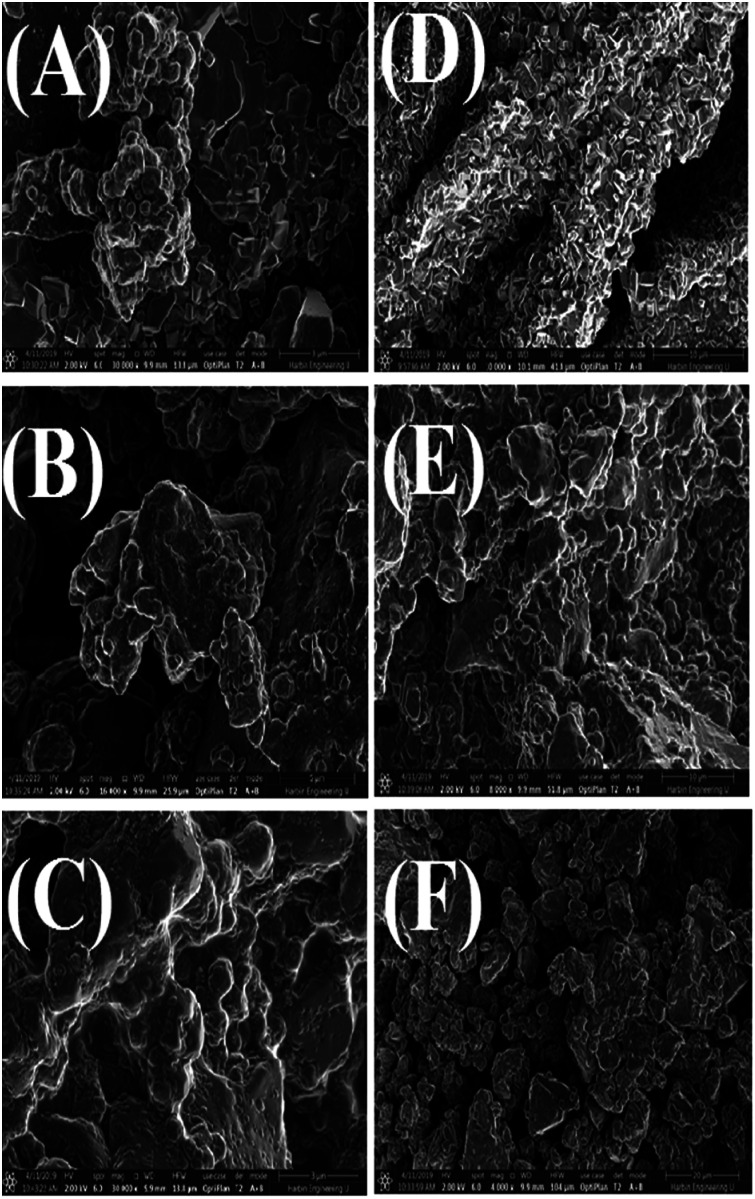 Fig. 8