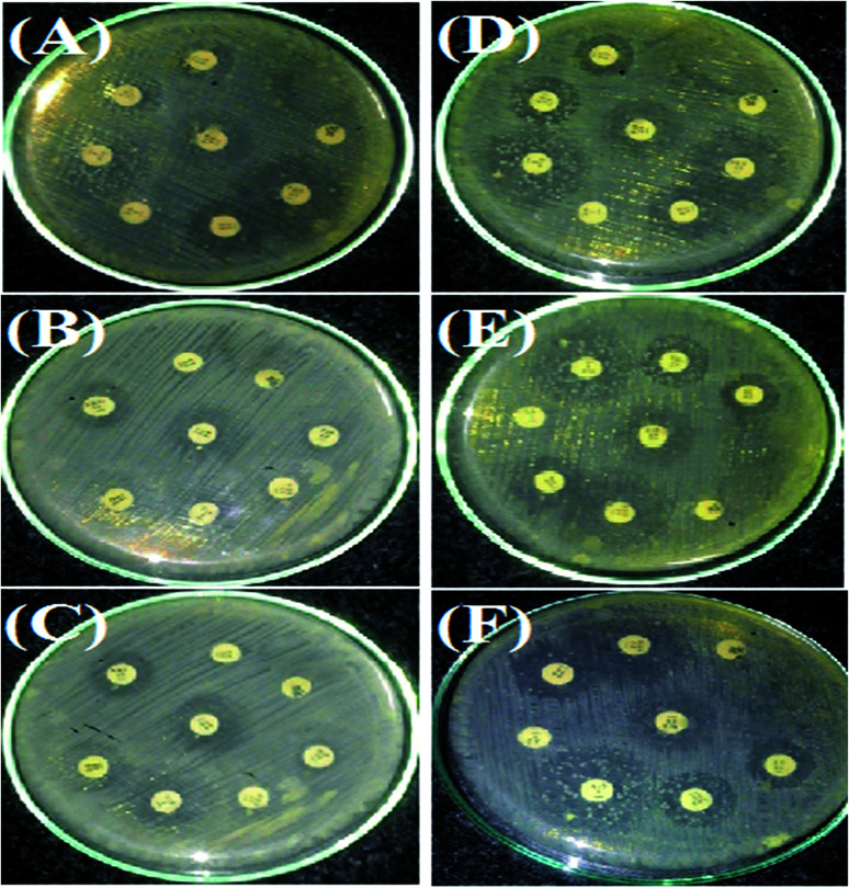 Fig. 11