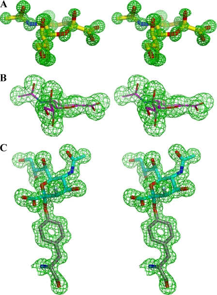 FIGURE 3.