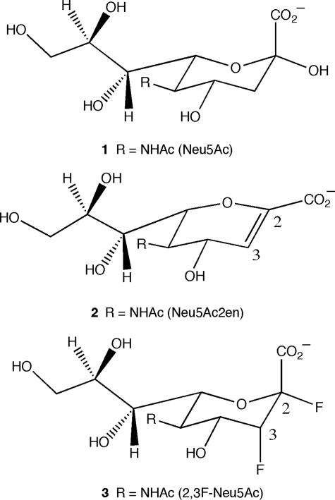 FIGURE 1.