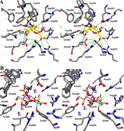 FIGURE 4.