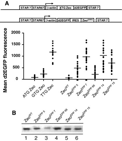 Fig. 7