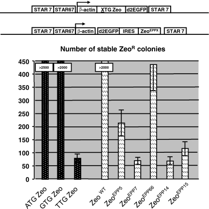 Fig. 6