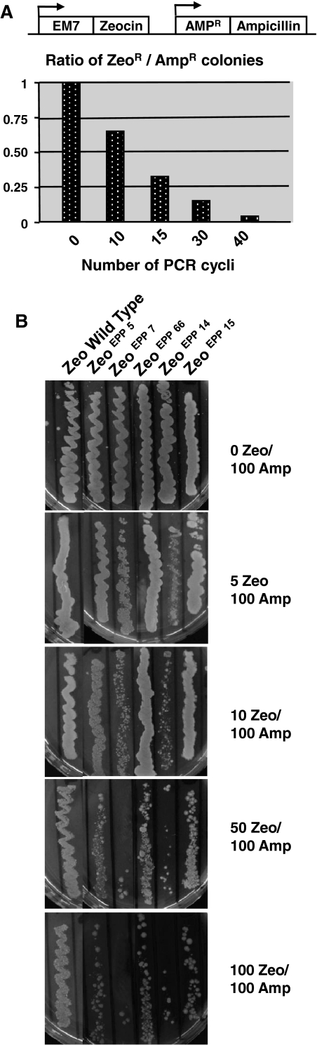 Fig. 4