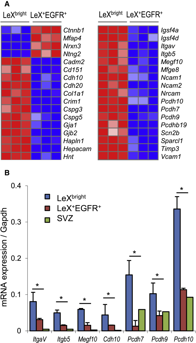 Figure 4