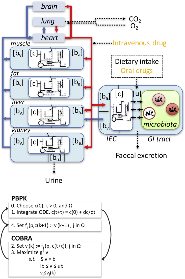 Figure 2