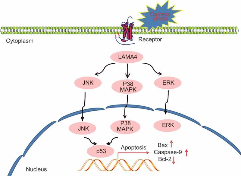 Figure 10.