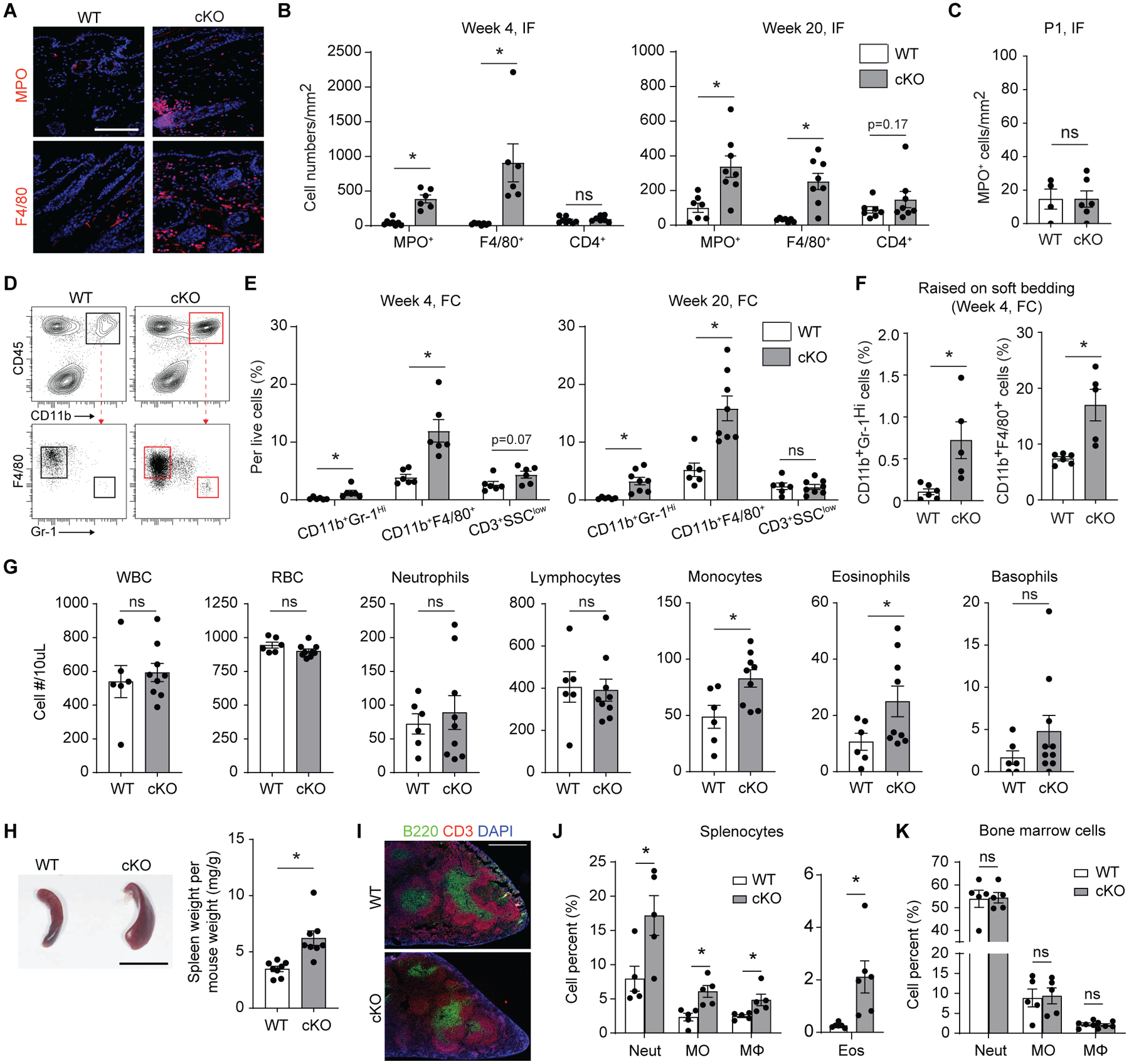 Fig 3.