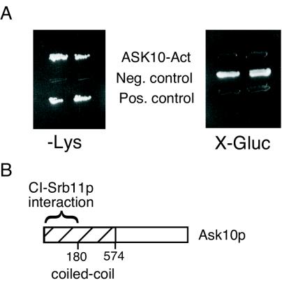 FIG. 1.