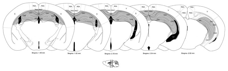 Fig. 10