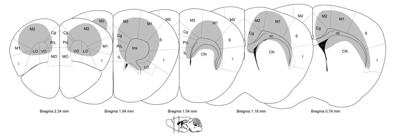 Fig. 9