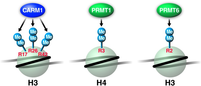 FIG. 3.