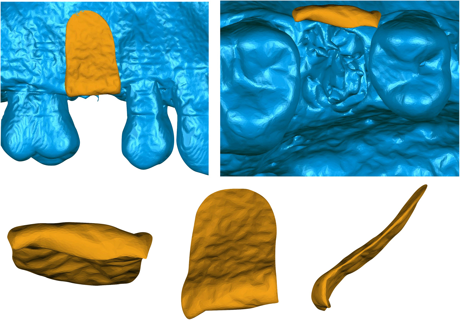 Figure 10.